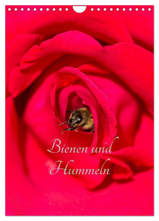 Produktbild: Bienen und Hummeln (Wandkalender 2026 DIN A4 hoch), CALVENDO Monatskalender