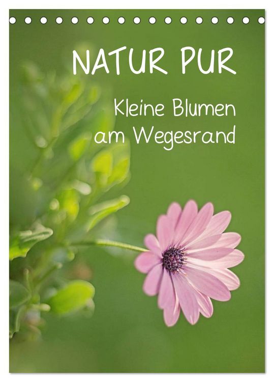 Produktbild: NATUR PUR Kleine Blumen am Wegesrand (Tischkalender 2026 DIN A5 hoch), CALVENDO Monatskalender