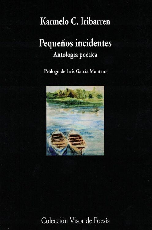 Produktbild: Peque&ntilde;os incidentes : antolog&iacute;a po&eacute;tica