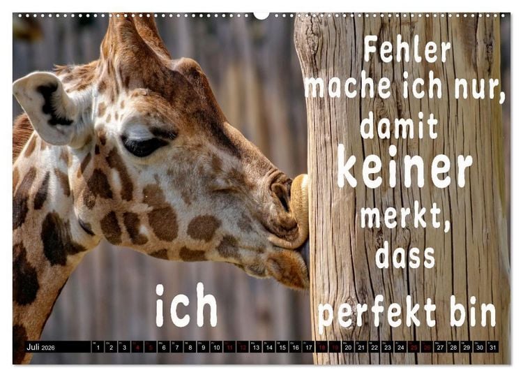 Produktbild: Spruchreif - Gute-Laune-Kalender (hochwertiger Premium Wandkalender 2026 DIN A2 quer), Kunstdruck in Hochglanz