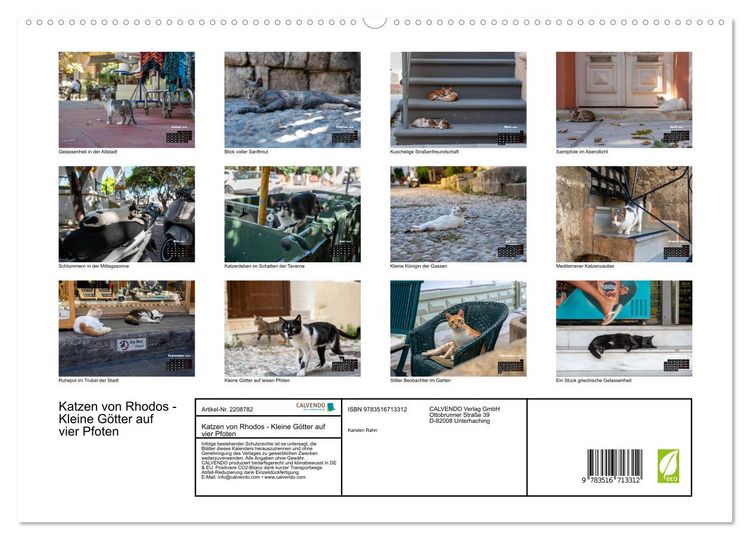 Produktbild: Katzen von Rhodos - Kleine G&ouml;tter auf vier Pfoten (hochwertiger Premium Wandkalender 2026 DIN A2 quer), Kunstdruck in Hochglanz