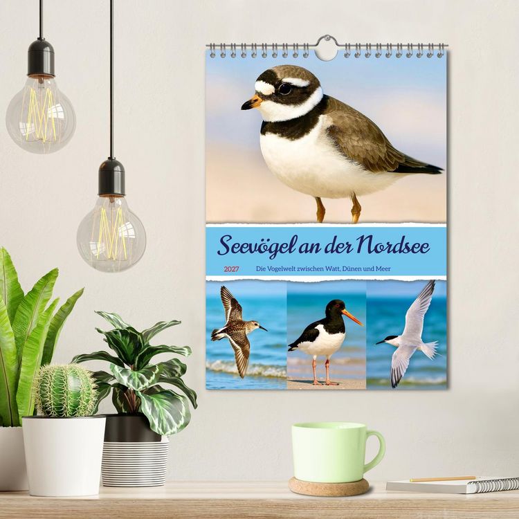 Produktbild: Seev&ouml;gel an der Nordsee (Wandkalender 2027 DIN A4 hoch), CALVENDO Monatskalender