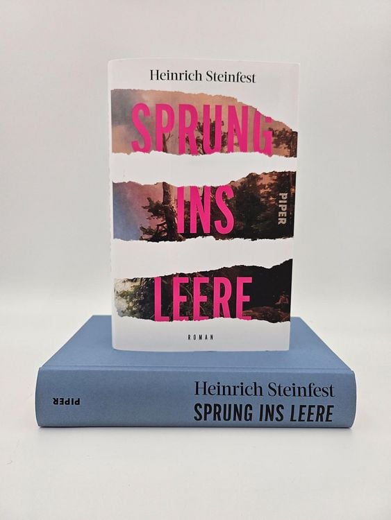 Produktbild: Sprung ins Leere