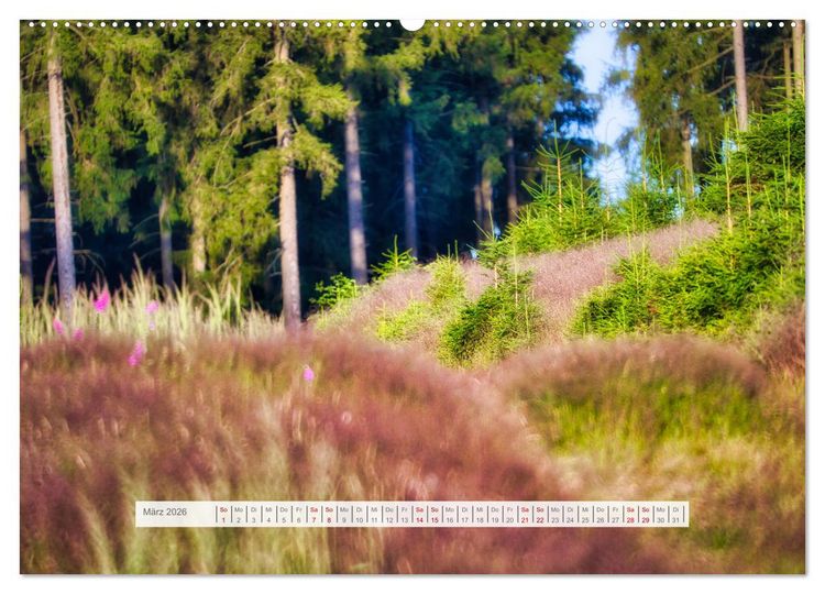 Produktbild: Traumhafte Waldstimmung am Rennsteig im Th&uuml;ringer Wald (hochwertiger Premium Wandkalender 2026 DIN A2 quer), Kunstdruck in Hochglanz