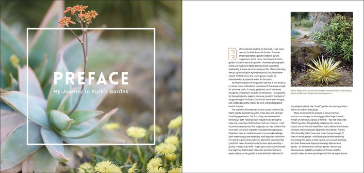 Produktbild: The Bold Dry Garden