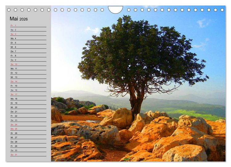 Produktbild: Magische B&auml;ume (Wandkalender 2026 DIN A4 quer), CALVENDO Monatskalender