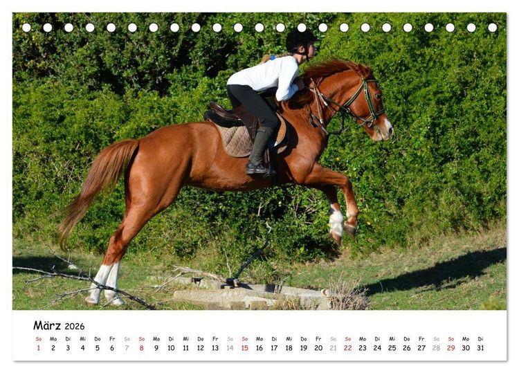 Produktbild: Pony Springreiten (Tischkalender 2026 DIN A5 quer), CALVENDO Monatskalender