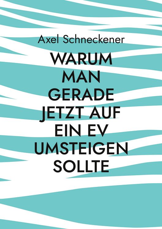Produktbild: Warum man gerade jetzt auf ein EV umsteigen sollte