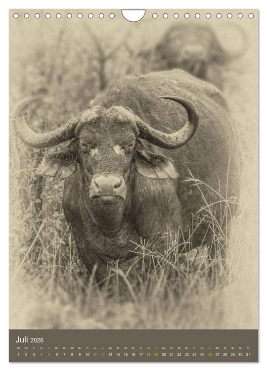 Produktbild: Afrikas Tierwelt - Sepia-Art (Wandkalender 2026 DIN A4 hoch), CALVENDO Monatskalender