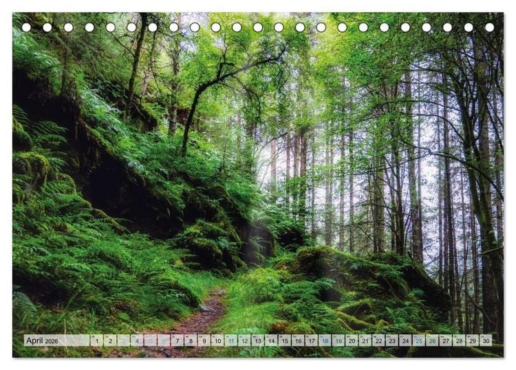 Produktbild: Mein Schottland - Landschaften (Tischkalender 2026 DIN A5 quer), CALVENDO Monatskalender