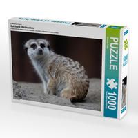 Produktbild: CALVENDO Puzzle Ein Motiv aus dem Kalender Quirlige Erdm&auml;nnchen | 1000 Teile Lege-Gr&ouml;&szlig;e 64x48cm Foto-Puzzle f&uuml;r gl&uuml;ckliche Stunden