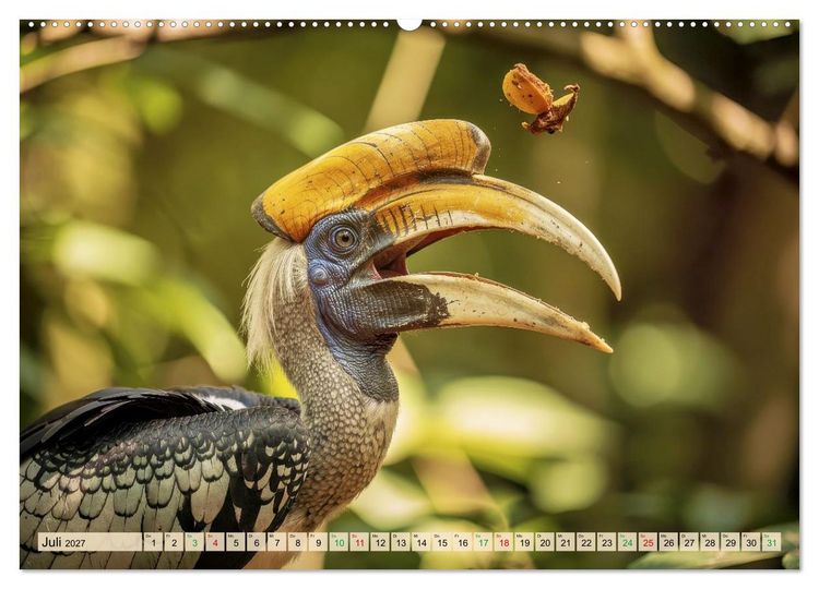 Produktbild: Nashornv&ouml;gel (hochwertiger Premium Wandkalender 2027 DIN A2 quer), Kunstdruck in Hochglanz