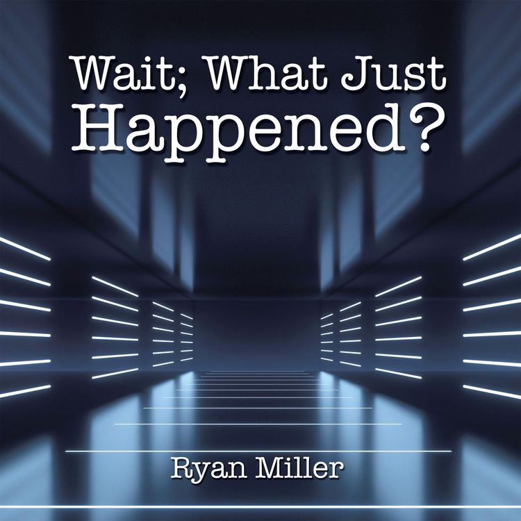 Produktbild: Wait; What Just Happened?