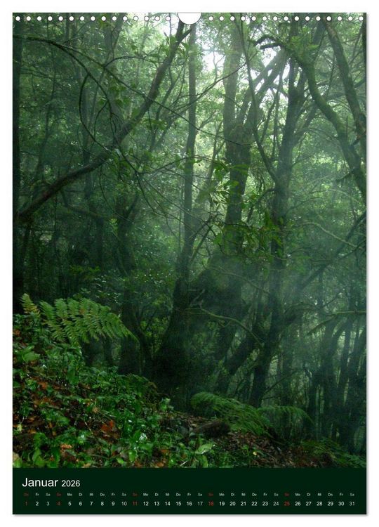 Produktbild: Inseltraum La Gomera (Wandkalender 2026 DIN A3 hoch), CALVENDO Monatskalender