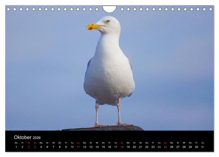 Produktbild: An der Nordsee (Wandkalender 2026 DIN A4 quer), CALVENDO Monatskalender