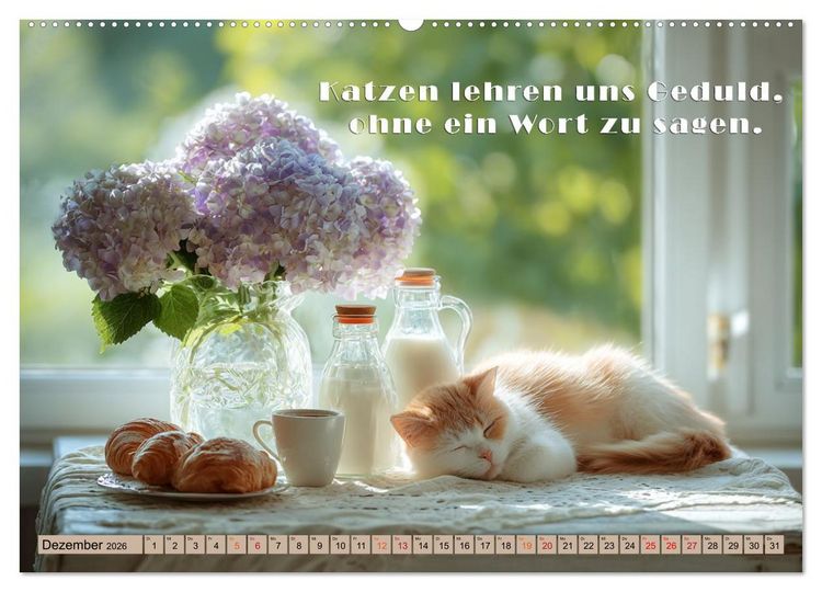 Produktbild: Miau-velous Pfotenpoesie (hochwertiger Premium Wandkalender 2026 DIN A2 quer), Kunstdruck in Hochglanz