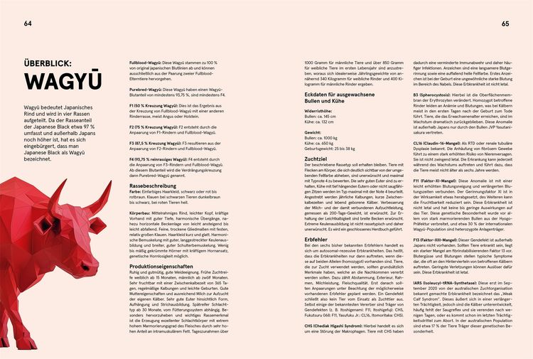 Produktbild: Wagyu