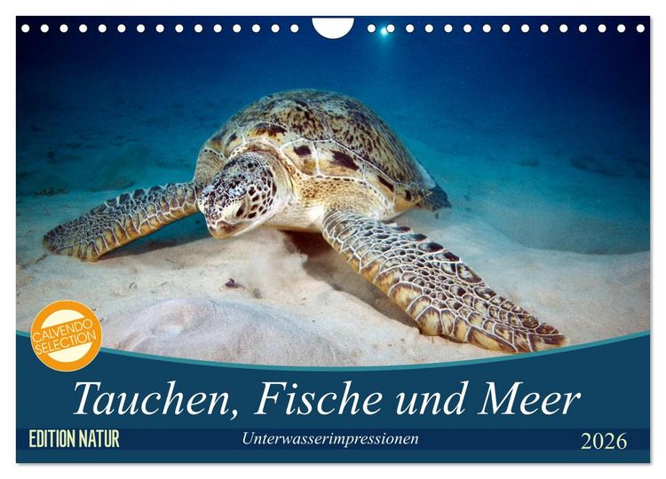 Produktbild: Tauchen, Fische und Meer (Wandkalender 2026 DIN A4 quer), CALVENDO Monatskalender