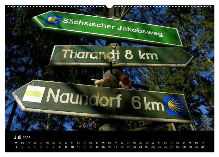 Produktbild: Der B&auml;rchenkalender 2026 (hochwertiger Premium Wandkalender 2026 DIN A2 quer), Kunstdruck in Hochglanz