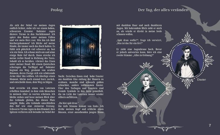 Produktbild: Dark Hearts & Magic Minds &ndash; Eine R&auml;tsel-Romantasy