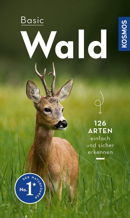 Produktbild: Basic Wald