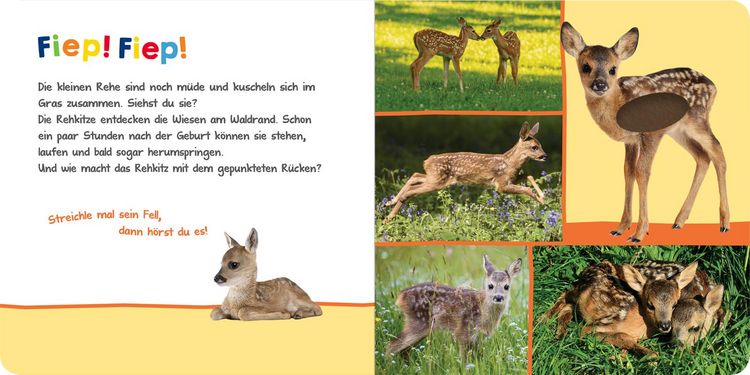 Produktbild: H&ouml;r mal rein, wer kann das sein? &ndash; Im Fr&uuml;hling