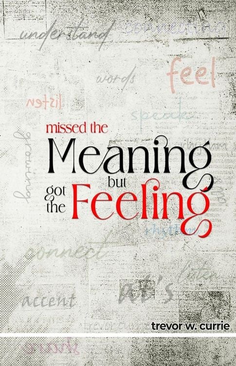 Produktbild: missed the meaning, but got the feeling