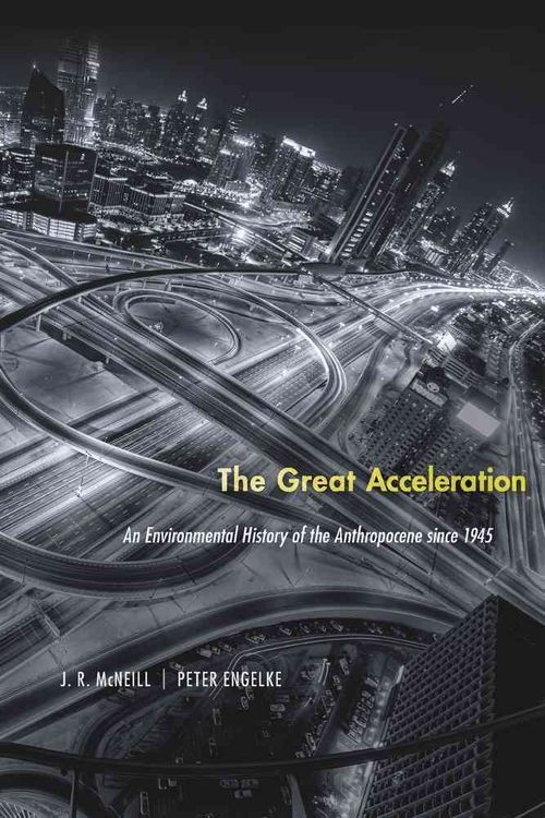 Produktbild: The Great Acceleration
