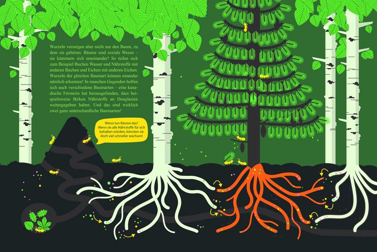 Produktbild: Ein Baum kommt selten allein