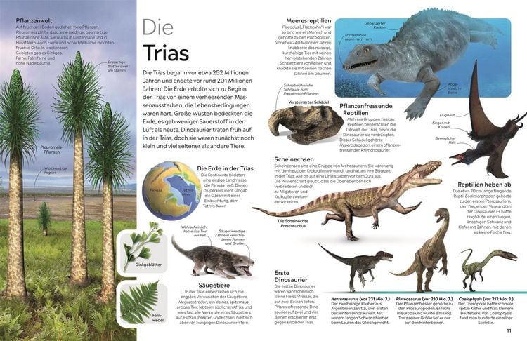 Produktbild: memo Wissen. Dinosaurier