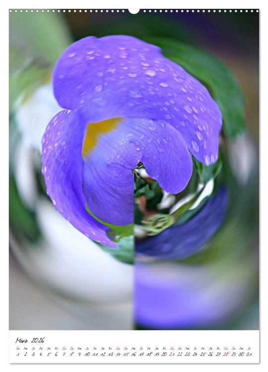 Produktbild: Durchschnittlich - Verzauberte Flora (Wandkalender 2026 DIN A2 hoch), CALVENDO Monatskalender