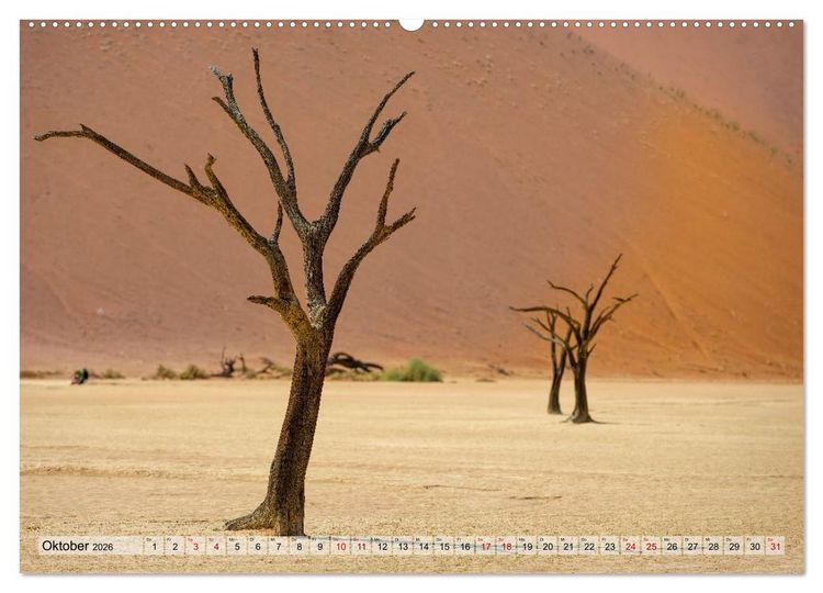 Produktbild: Namibia - Simbabwe - Botswana Leben zwischen W&uuml;ste und Wildnis (Wandkalender 2026 DIN A2 quer), CALVENDO Monatskalender