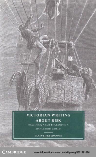 Produktbild: Victorian Writing about Risk