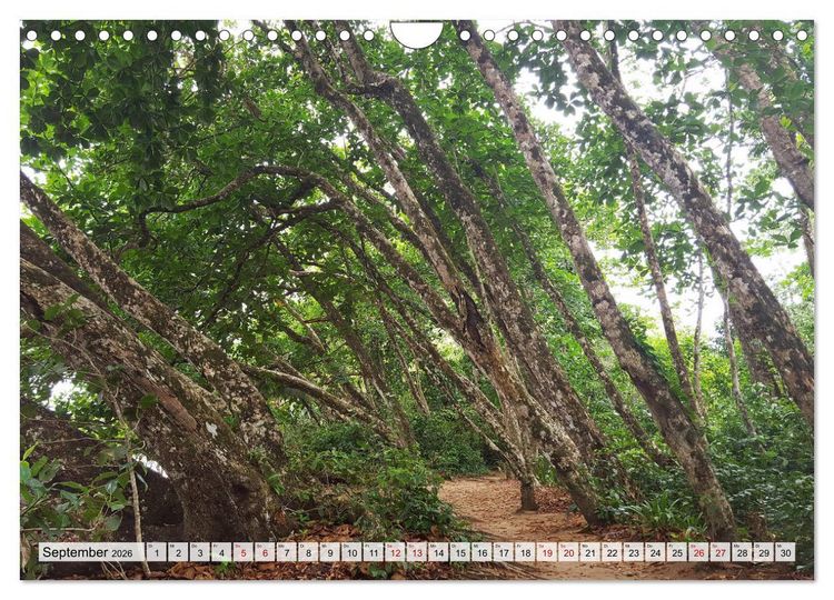 Produktbild: Costa Rica - Lebensfreude pur (Wandkalender 2026 DIN A4 quer), CALVENDO Monatskalender
