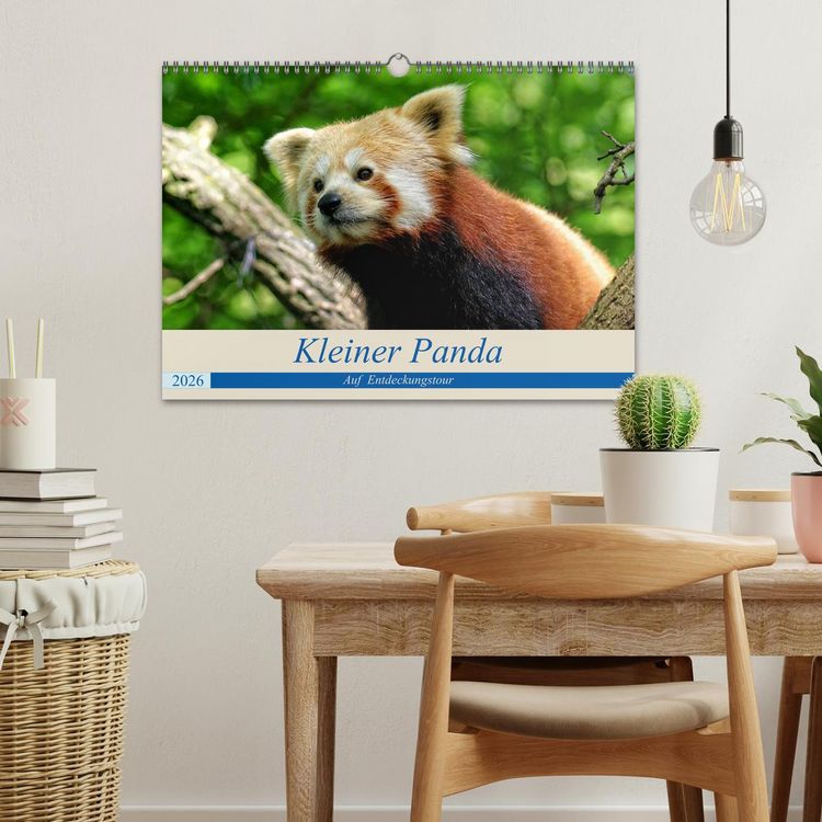 Produktbild: Kleiner Panda auf Entdeckungstour (Wandkalender 2026 DIN A3 quer), CALVENDO Monatskalender