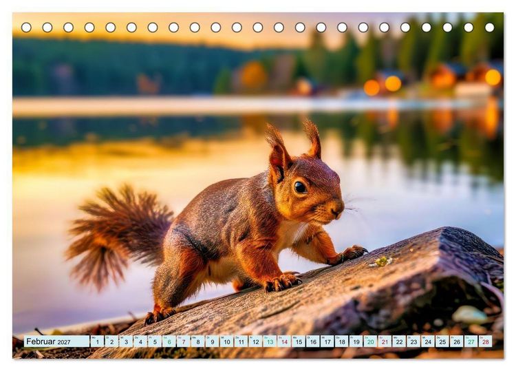 Produktbild: M&auml;rchenhafte Eichh&ouml;rnchen (Tischkalender 2027 DIN A5 quer), CALVENDO Monatskalender