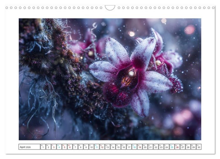 Produktbild: Zwischen Natur und Kunst (Wandkalender 2026 DIN A3 quer), CALVENDO Monatskalender