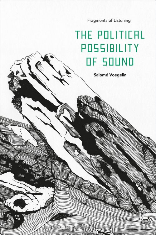 Produktbild: The Political Possibility of Sound