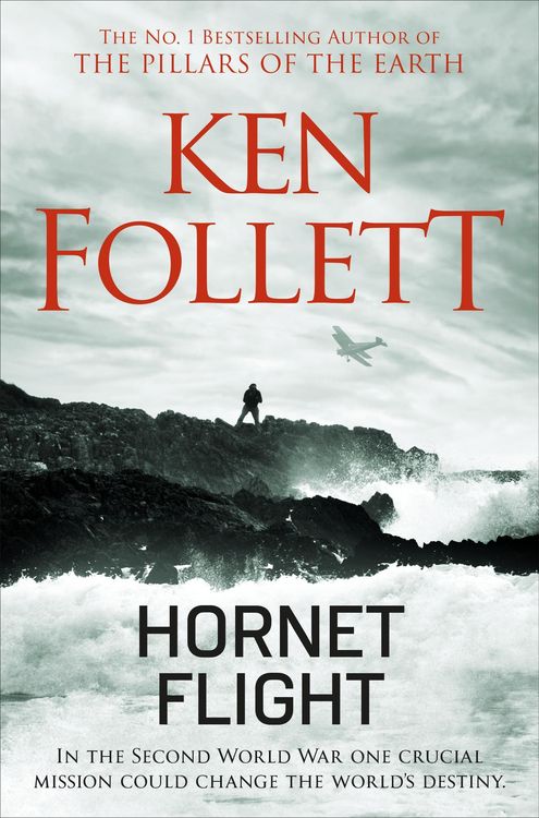 Produktbild: Hornet Flight