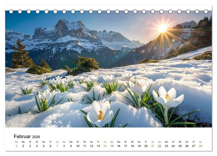 Produktbild: Natur im Jahr (Tischkalender 2026 DIN A5 quer), CALVENDO Monatskalender