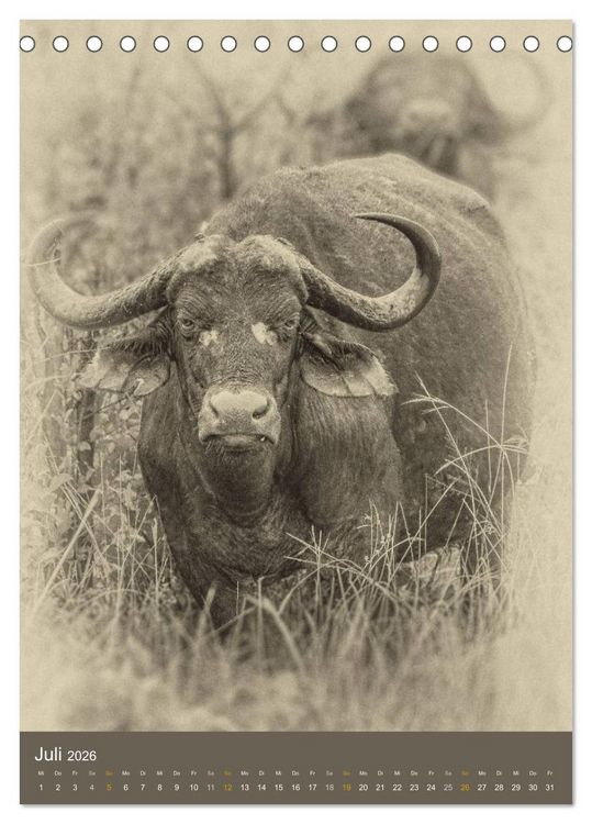 Produktbild: Afrikas Tierwelt - Sepia-Art (Tischkalender 2026 DIN A5 hoch), CALVENDO Monatskalender