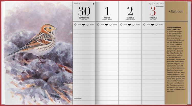 Produktbild: Der illustrierte Vogelkalender 2027