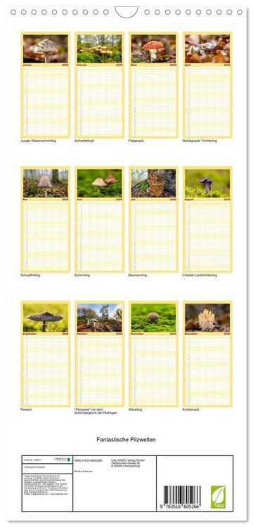 Produktbild: Familienplaner 2026 - Fantastische Pilzwelten mit 5 Spalten (Wandkalender, 21 x 45 cm) CALVENDO