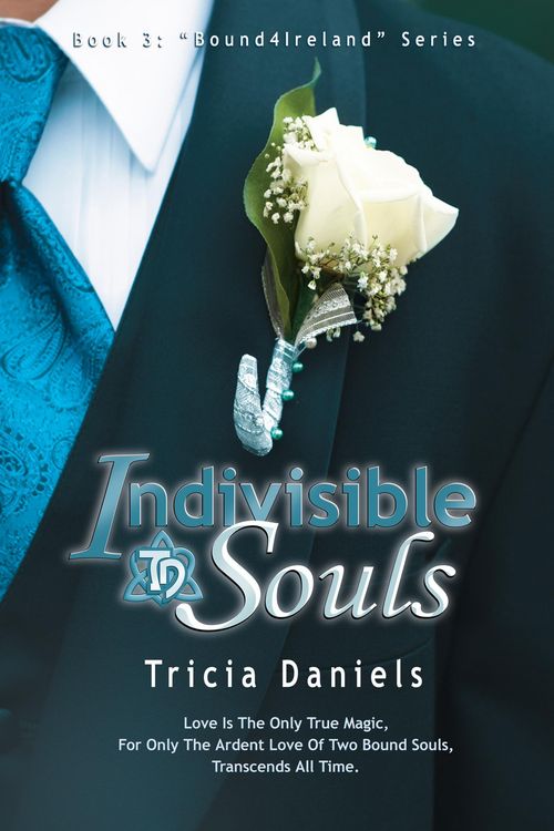 Produktbild: Indivisible Souls : Book 3 of the Bound4Ireland Series