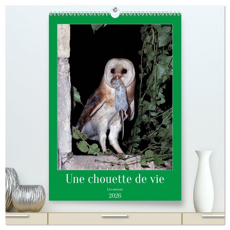 Produktbild: Une chouette de vie, les oiseaux (Calendrier mural 2026 DIN A2 horizontal) calendrier de bureau