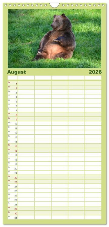 Produktbild: Familienplaner 2026 - Begegnungen DER BRAUNB&Auml;R mit 5 Spalten (Wandkalender, 21 x 45 cm) CALVENDO