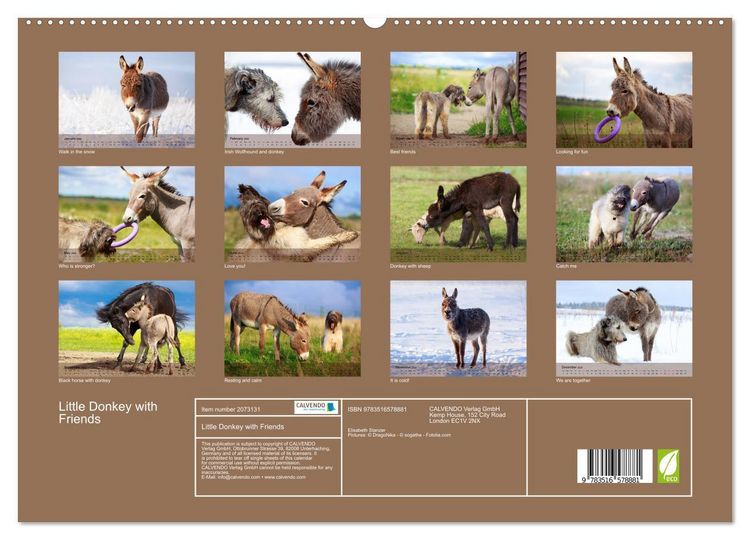 Produktbild: Little Donkey with Friends (High Quality Premium Wall Calendar 2026 DIN A2 landscape),CALVENDO 12 Month Wall Calendar