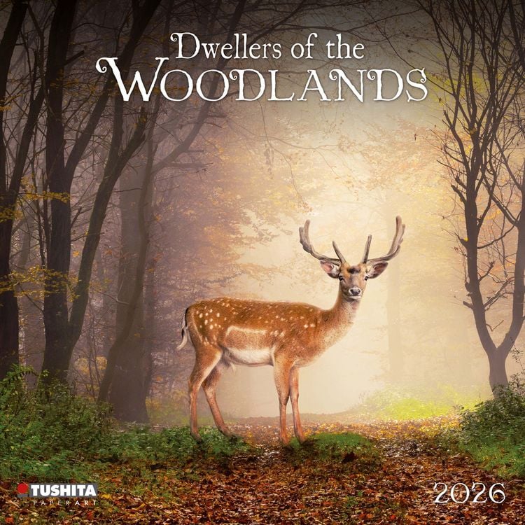 Produktbild: Dwellers of the Woodlands 2026