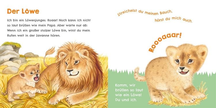 Produktbild: H&ouml;r mal, wie ich tr&ouml;ten kann (Mein erstes Streichel-Soundbuch 4)