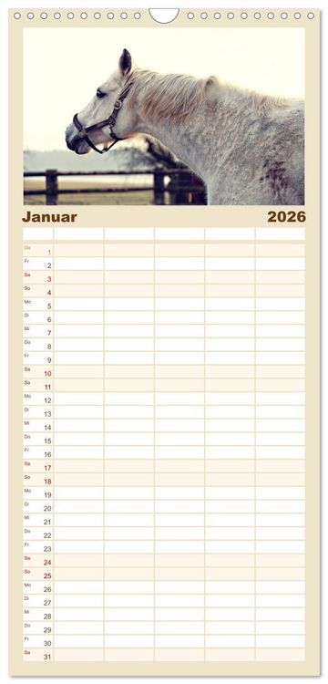 Produktbild: Familienplaner 2026 - Pferde - kraftvolle Eleganz mit 5 Spalten (Wandkalender, 21 x 45 cm) CALVENDO